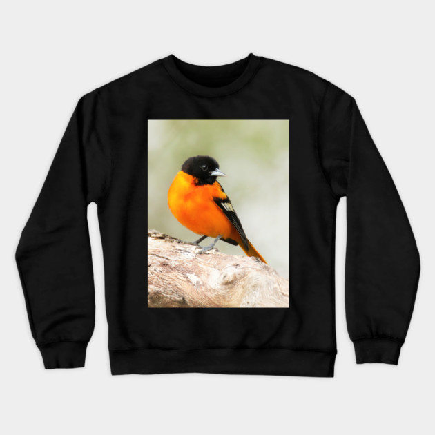 Baltimore Oriole Portrait Crewneck Sweatshirt by BirdsnStuff