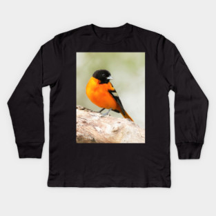 Baltimore Oriole Portrait Kids Long Sleeve T-Shirt