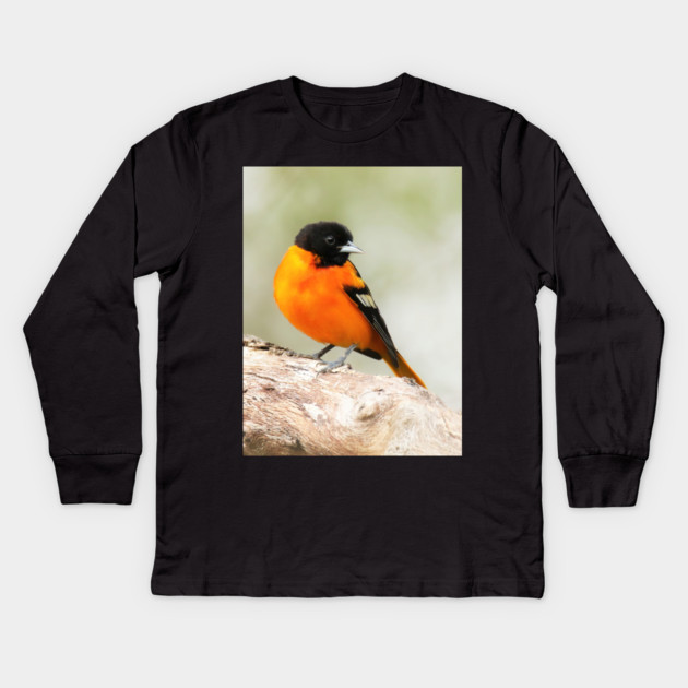 Baltimore Oriole Portrait Kids Long Sleeve T-Shirt by BirdsnStuff