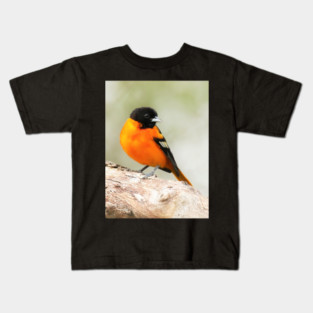 Baltimore Oriole Portrait Kids T-Shirt