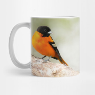 Baltimore Oriole Portrait Mug