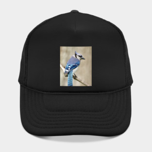 Portrait of a Blue Jay Hat