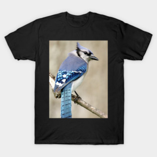 Portrait of a Blue Jay T-Shirt