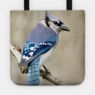 Portrait of a Blue Jay Tote