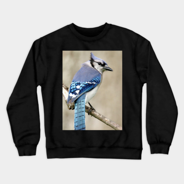 Portrait of a Blue Jay Crewneck Sweatshirt by BirdsnStuff