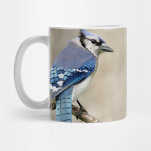 Portrait of a Blue Jay Mug
