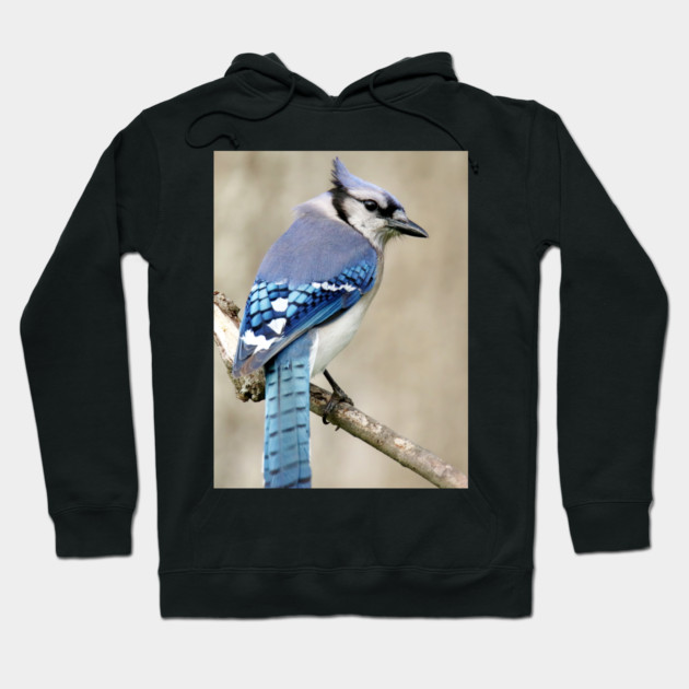 Portrait of a Blue Jay Hoodie by BirdsnStuff