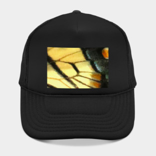 Butterfly Wings Hat