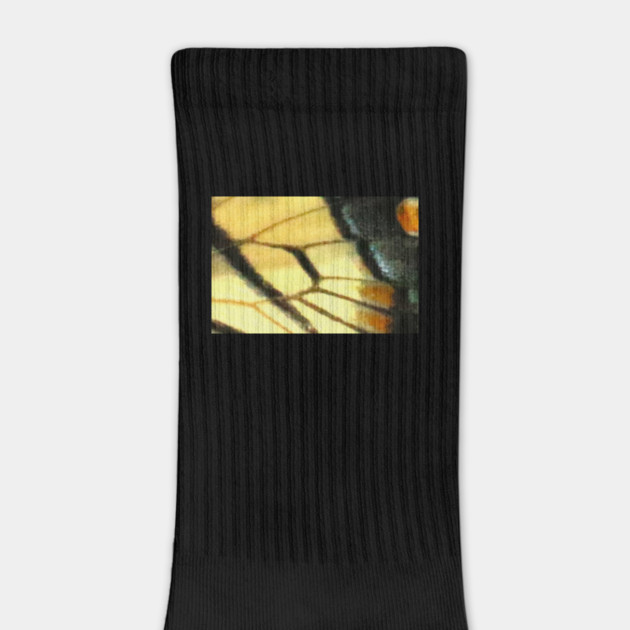 Butterfly Wings by BirdsnStuff