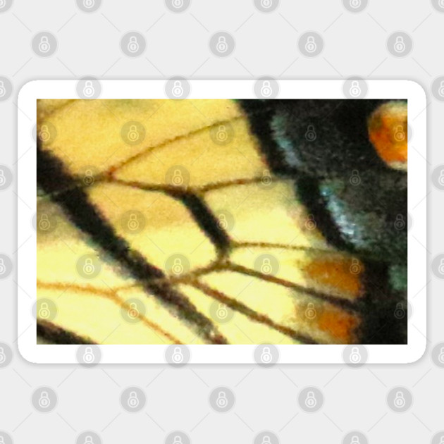 Butterfly Wings Sticker by BirdsnStuff