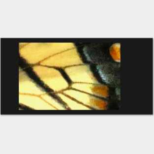 Butterfly Wings Posters and Art