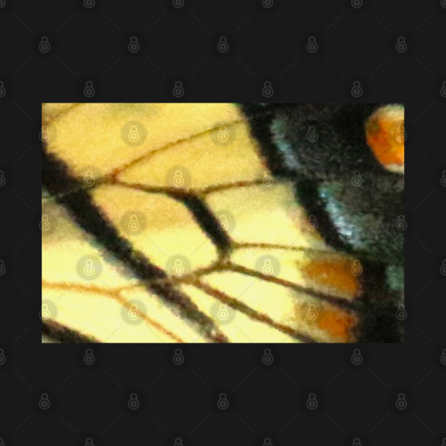 Butterfly Wings by BirdsnStuff