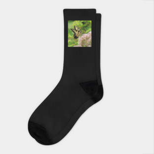 Butterfly on pink purple flowers Socks