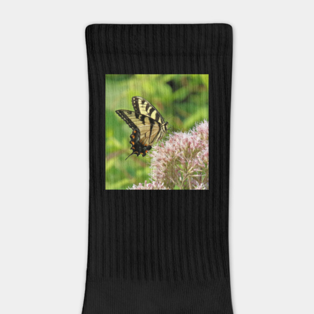 Butterfly on pink purple flowers by BirdsnStuff