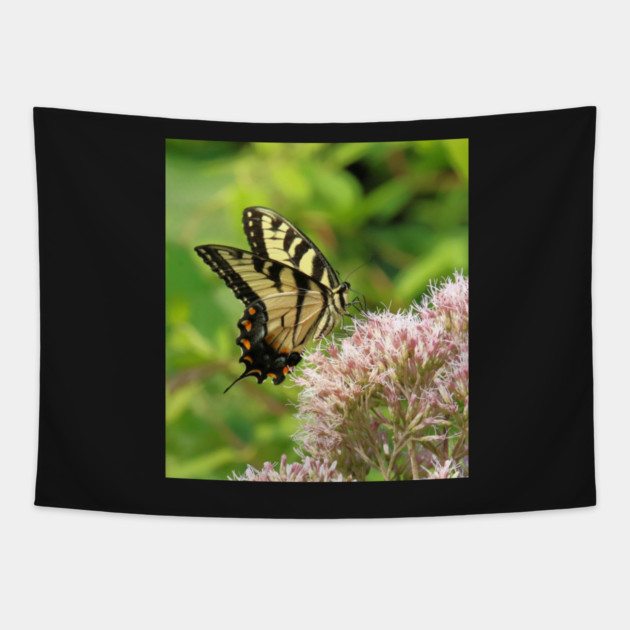 Butterfly on pink purple flowers Tapestry by BirdsnStuff