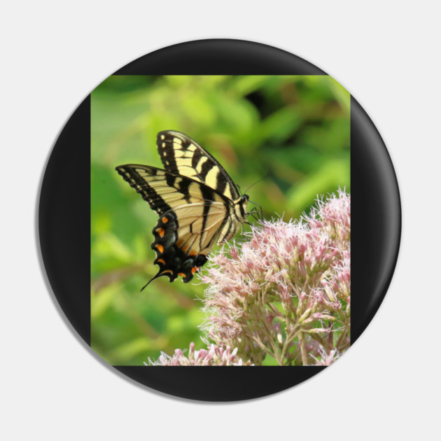 Butterfly on pink purple flowers Pin by BirdsnStuff