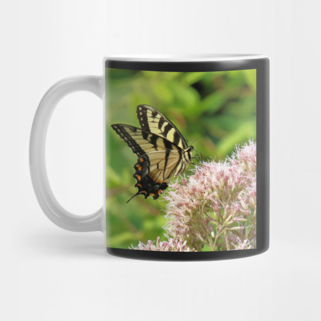 Butterfly on pink purple flowers by BirdsnStuff