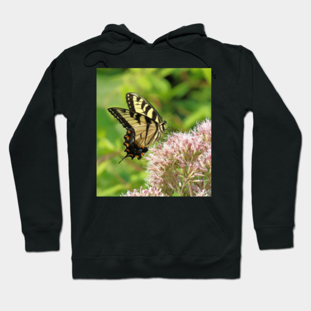 Butterfly on pink purple flowers Hoodie by BirdsnStuff