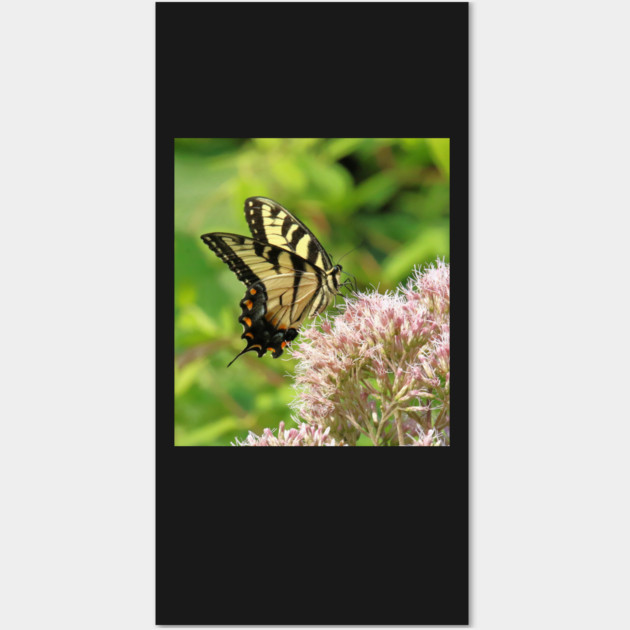 Butterfly on pink purple flowers Wall Art by BirdsnStuff