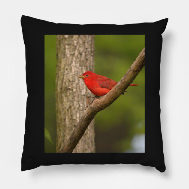 Summer Tanager Pillow by BirdsnStuff