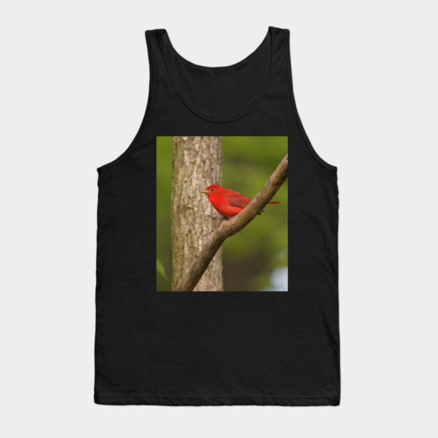 Summer Tanager Tank Top by BirdsnStuff