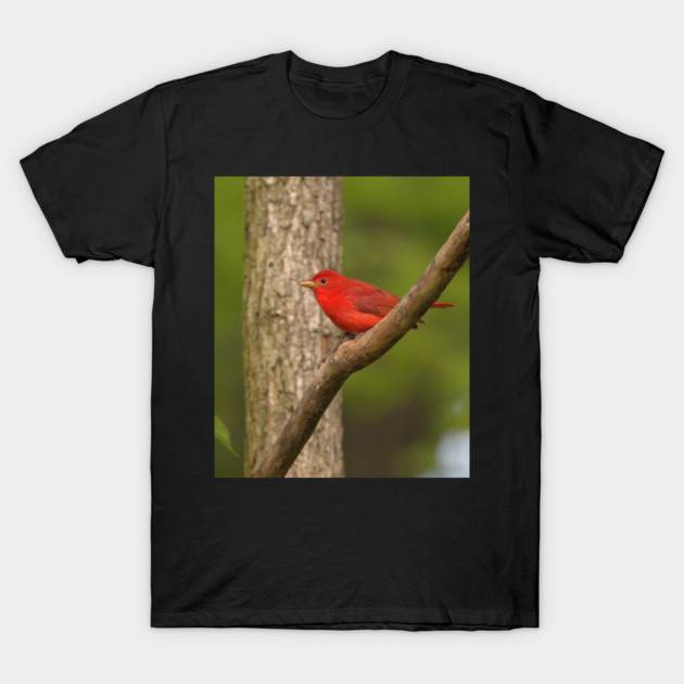 Summer Tanager T-Shirt by BirdsnStuff