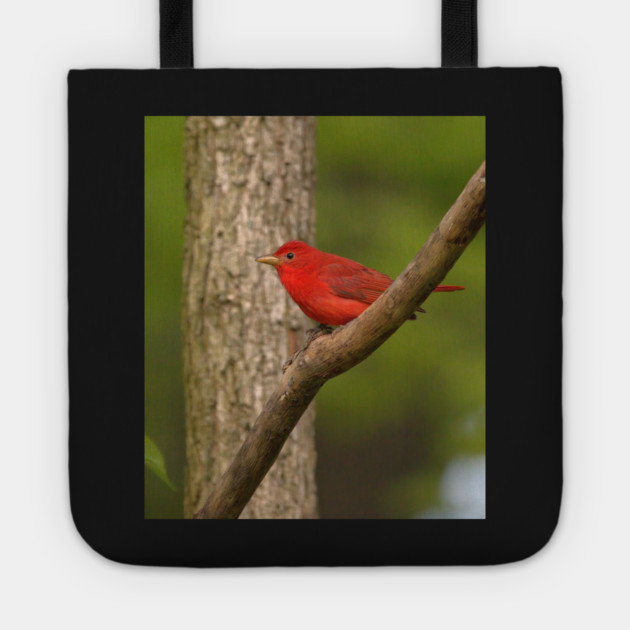 Summer Tanager Tote by BirdsnStuff