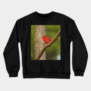 Summer Tanager Crewneck Sweatshirt
