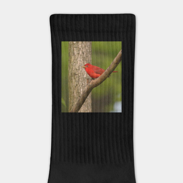 Summer Tanager by BirdsnStuff