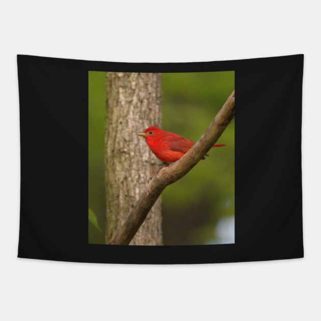 Summer Tanager Tapestry by BirdsnStuff