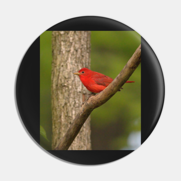Summer Tanager Pin by BirdsnStuff