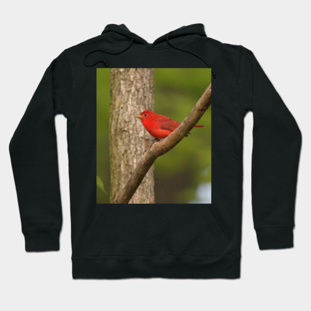 Summer Tanager Hoodie by BirdsnStuff