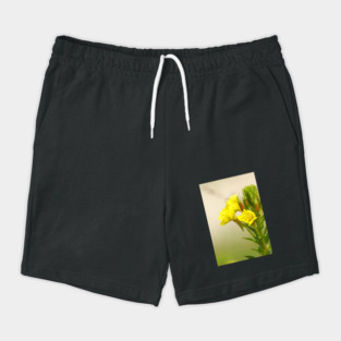 Yellow Wildflowers Shorts