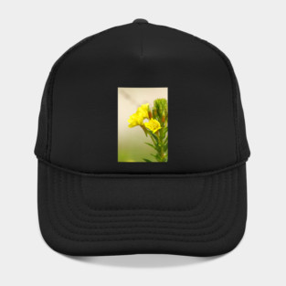 Yellow Wildflowers Hat