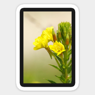 Yellow Wildflowers Magnet