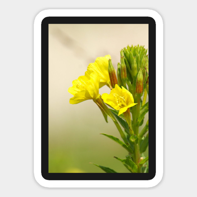 Yellow Wildflowers Magnet by BirdsnStuff