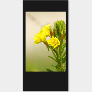 Yellow Wildflowers Posters and Art