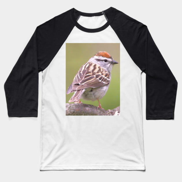 Chipping Sparrow on a big curled tree branch Baseball T-Shirt by BirdsnStuff