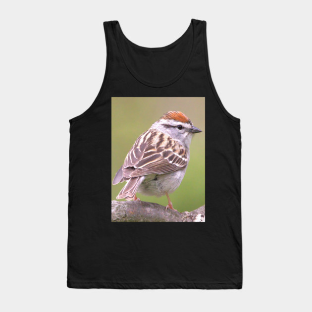 Chipping Sparrow on a big curled tree branch Tank Top by BirdsnStuff