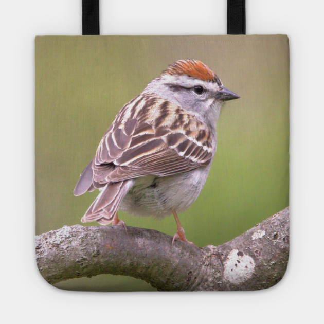 Chipping Sparrow on a big curled tree branch Tote by BirdsnStuff