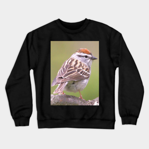Chipping Sparrow on a big curled tree branch Crewneck Sweatshirt by BirdsnStuff