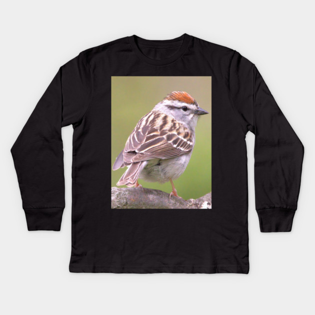 Chipping Sparrow on a big curled tree branch Kids Long Sleeve T-Shirt by BirdsnStuff