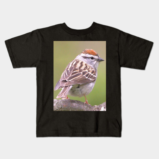 Chipping Sparrow on a big curled tree branch Kids T-Shirt by BirdsnStuff