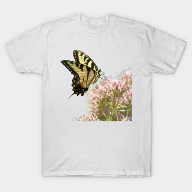 Butterfly on pink flowers with no background T-Shirt by BirdsnStuff