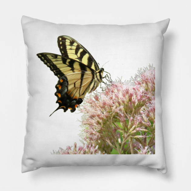 Butterfly on pink flowers with no background Pillow by BirdsnStuff