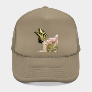 Butterfly on pink flowers with no background Hat