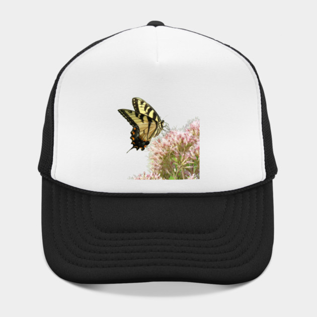 Butterfly on pink flowers with no background by BirdsnStuff