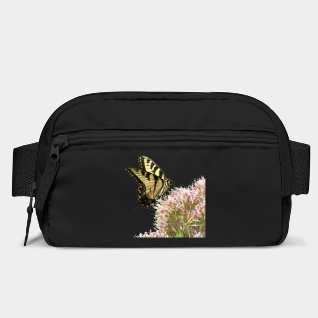 Butterfly on pink flowers with no background by BirdsnStuff