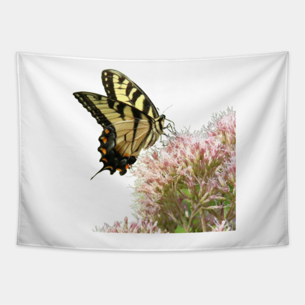 Butterfly on pink flowers with no background Tapestry by BirdsnStuff