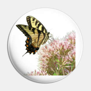 Butterfly on pink flowers with no background Pin